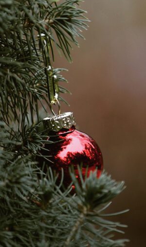 TZMO USA Inc. - Seni on Dementia Map