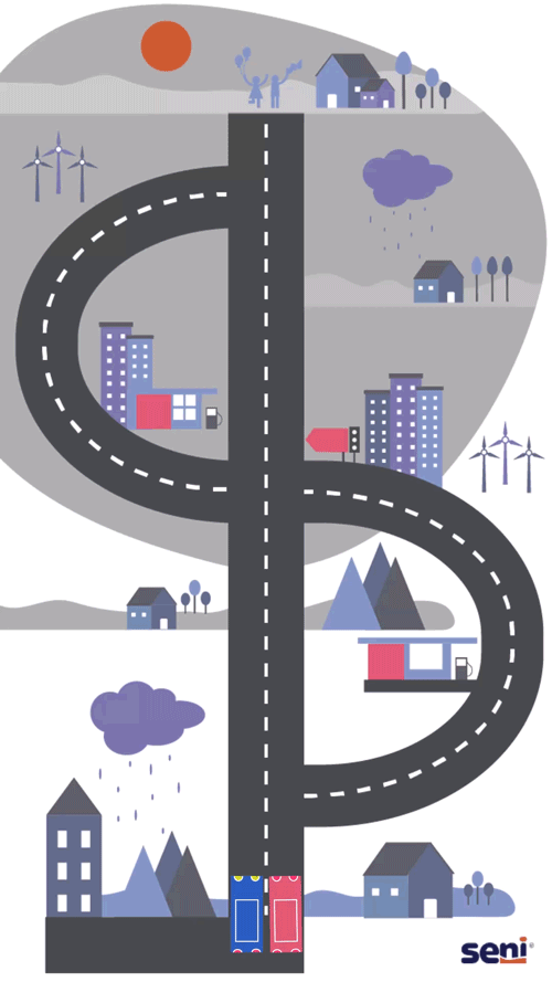 SENI on Dementia Map - Road Animation