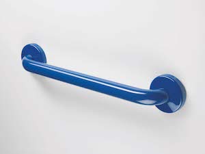 Blue Grab Bar Toilet Talk on Dementia Map