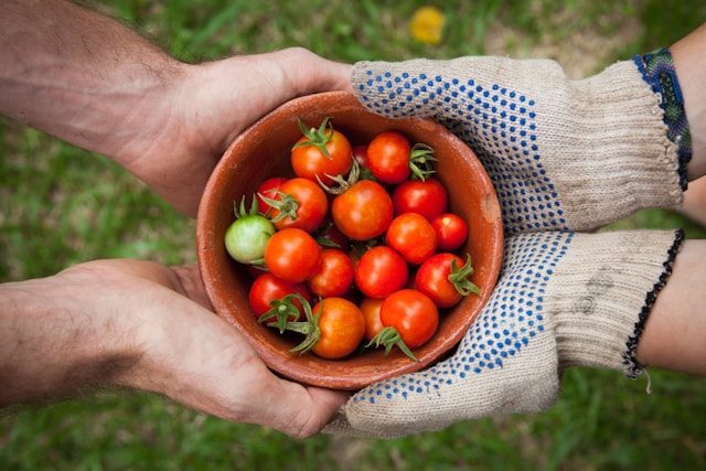 social prescribing